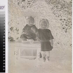 Portrait of Children in Garden, 1890