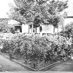 Photograph - Harold Gray's cottage, Sunshine, Victoria, May 1930
