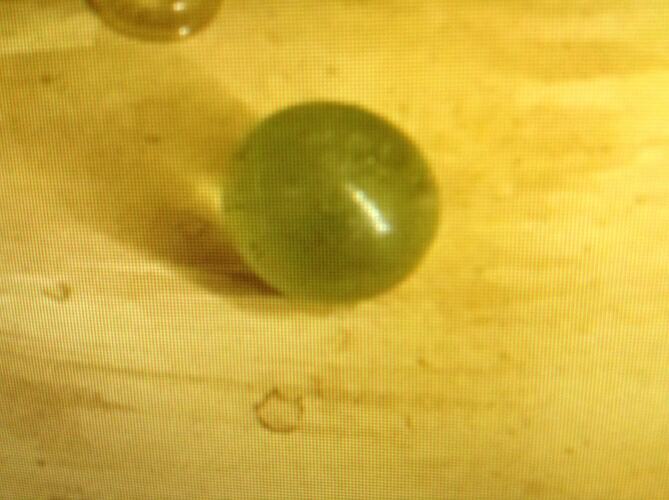 Clear light green marble.