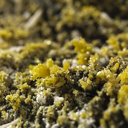 Pyromorphite. [M 53451]