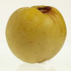 Yellow apple with brown spots model. Profile.