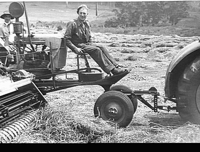 A. R. DAWES & SON, ULVERSTONE, TAS. 203 & EF HEADER.  HARVESTING `TARES' 35 BUSHELS PER ACRE.