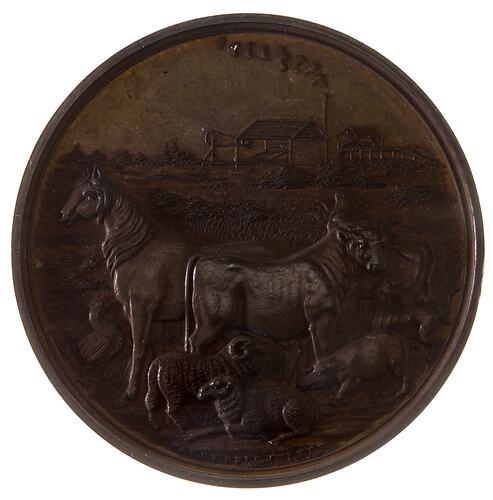 Medal - Herberton Mining Pastoral and Agricultural Association Prize, c. 1890 AD