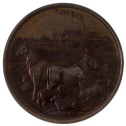 Medal - Herberton Mining Pastoral & Agricultural Association Prize, Queensland, Australia, circa 1890