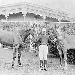 Negative - Jockey Holding Two Horses, Hamilton, Victoria, 1897