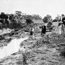 Negative - Miners Using Cradles Beside Creek, Taradale District, Victoria, 1894