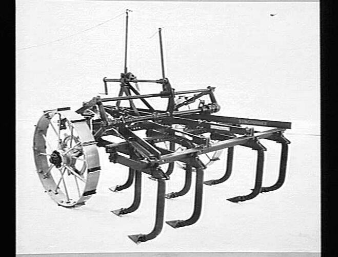 `SUNGRUBBER' - 9 TYNES