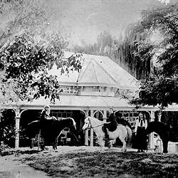 Negative - Hamilton Children with Ponies at Ensay Station, Gippsland, Victoria, circa 1895