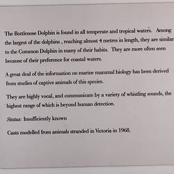 Exhibition Label - Bottlenose Dolphin, Museum of Victoria, circa 1990