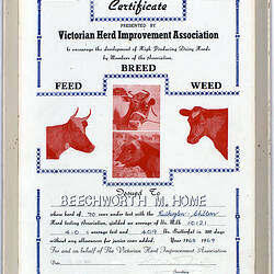 Certificate - Victorian Herd Improvement Association, Framed, circa 1969