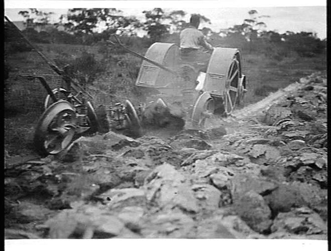 NOS 4, 5 & 6. TAKEN AT DROMANA: DEC 1925