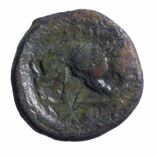 NU 2344, Coin, Ancient Greek States, Reverse