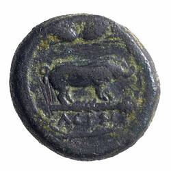 NU 2486, Coin, Ancient Greek States, Reverse