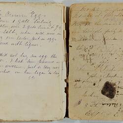 Book - Recipe and Remedy, Eliza Duckmanton, 1870