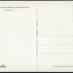 White back of blank postcard.