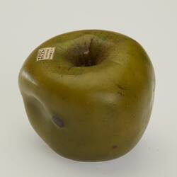 Wax model of green apple.