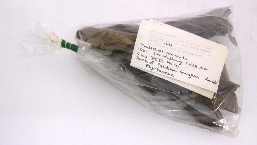 Bark sample in plastic bag with handwritten label.