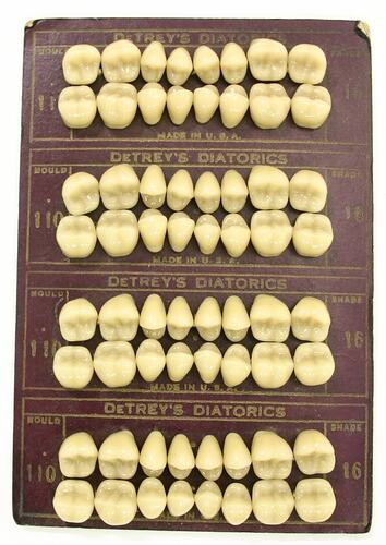 Sets of artificial teeth (cuspids and molars)