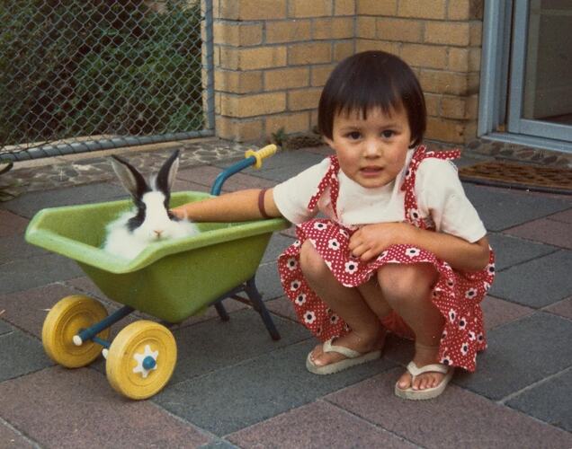 Digital Photograph - Girl with Rabbit in Toy Wheelbarrow, Backyard, Noble Park, 1979