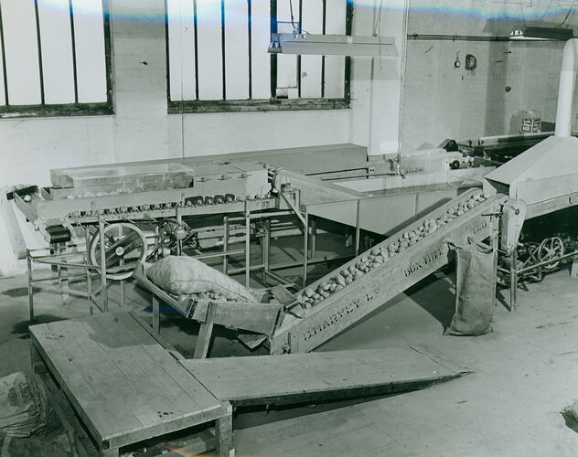 Photograph - Daniel Harvey Pty Ltd, Potato Grading Machine