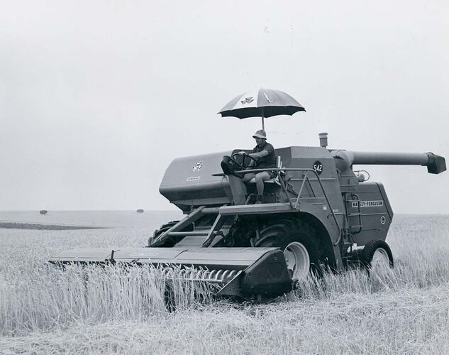Man driving a harvester in wheat field.