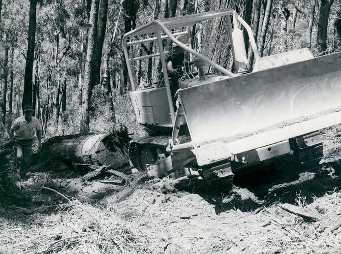 Front view of crawler tractor pulling a log in forest.