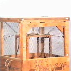 Vacuum Tube