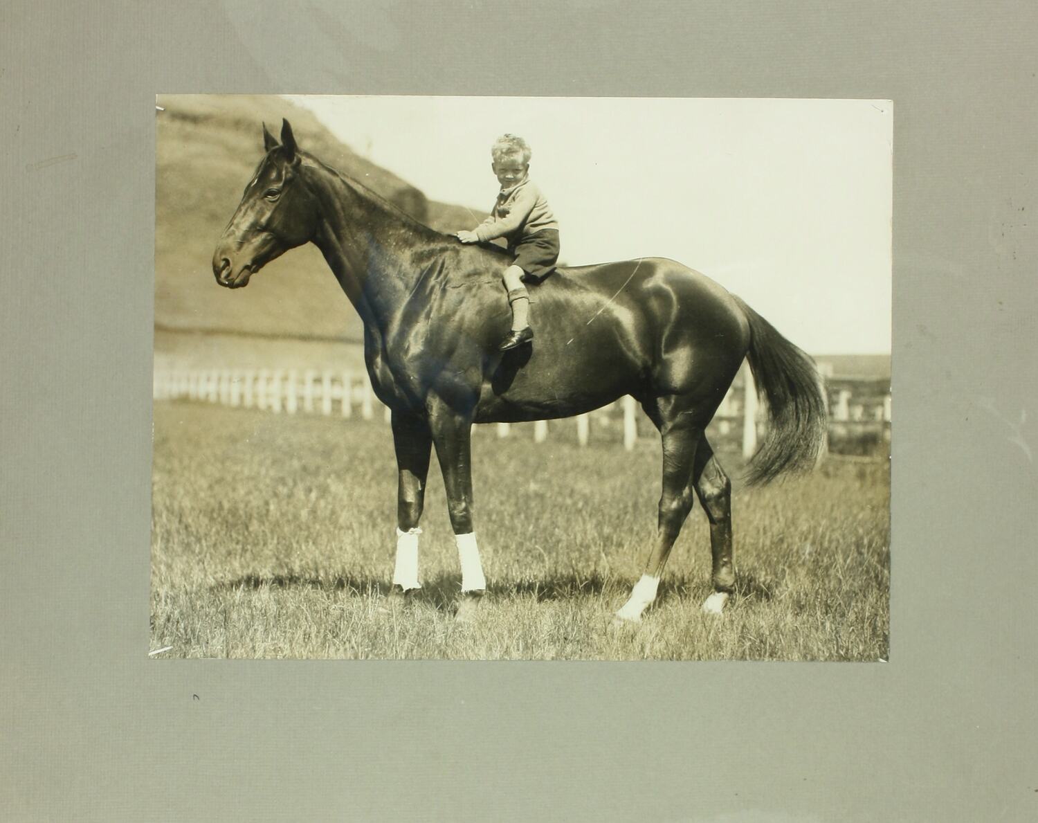 Photograph Phar Lap & Gerald Telford, 1931 Photograph Phar Lap & Gerald Telford, 1931