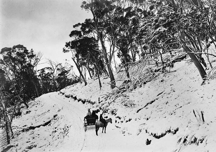 Horsedrawn vehicle and horse rider on snowy  mountain road.