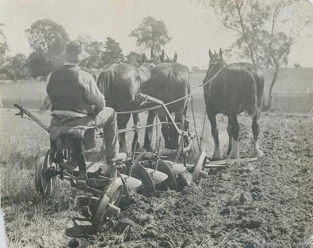 Rear view of a man sitting on a mouldboard plough being pulled by a team of 3 horses.