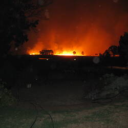 Digital Photograph - Spot Fires, Black Saturday Bushfires, Rosewhite, Victoria, 8 Feb 2009