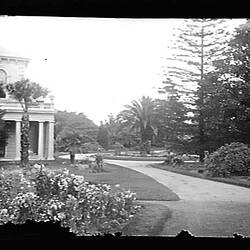 Glass Negative - Side Garden, 'Chelmer', St Kilda Road, South Yarra, Victoria, 1905
