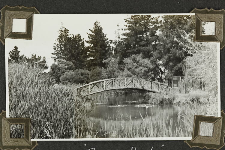 Bridge over lake with trees behind.