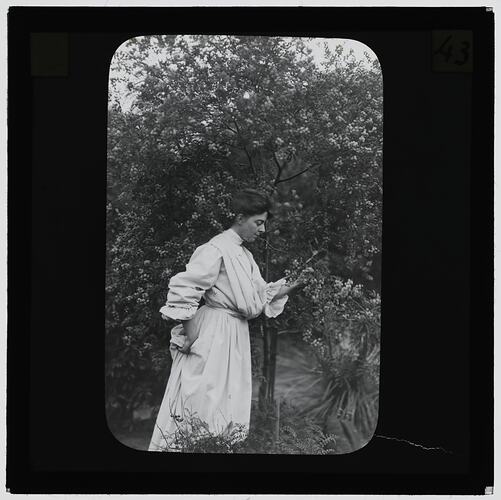 Black and white photograph of a girl in white dress next to a wattle tree.