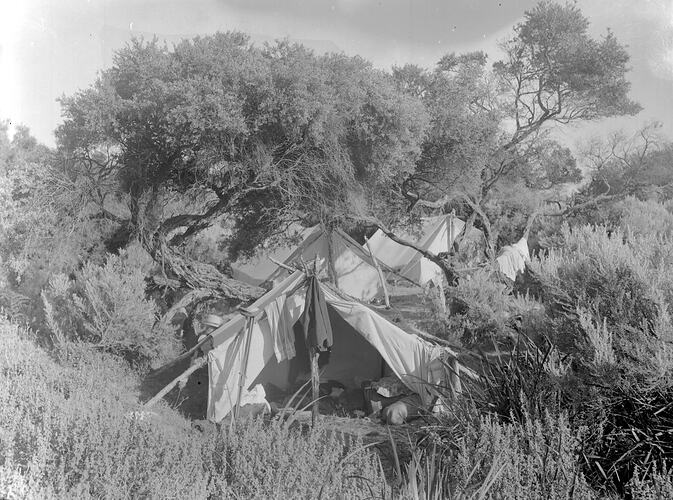 [The camp site at Phillip Island, about 1898.]