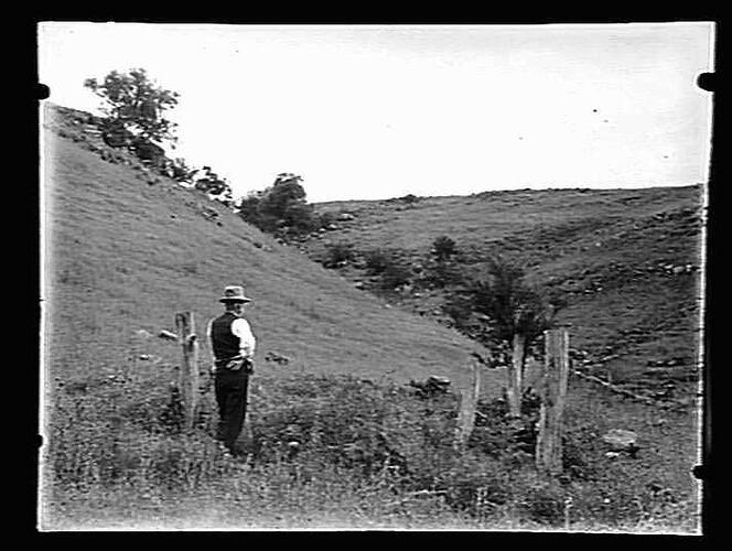 Glass Negative - by A.J. Campbell, Mount Cotterill, Victoria, circa 1900