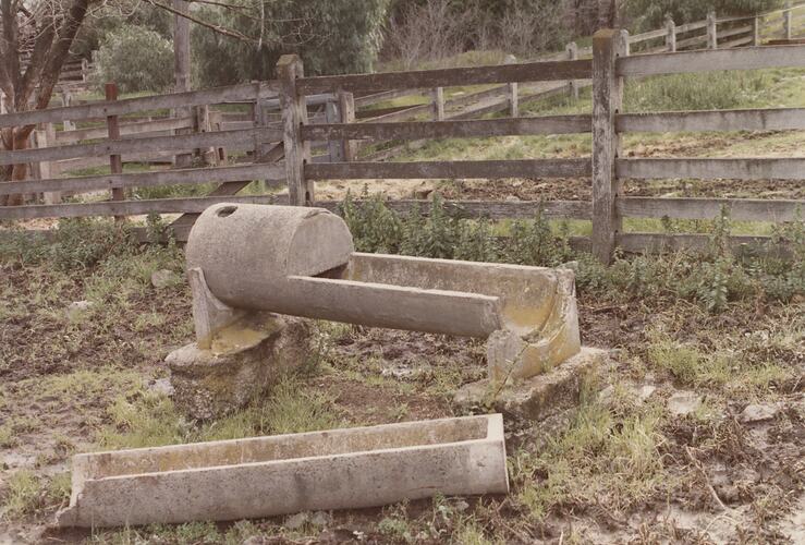 Water Trough, Newmarket, Aug 1985