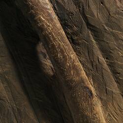 Shield, Australia, Rainforest
