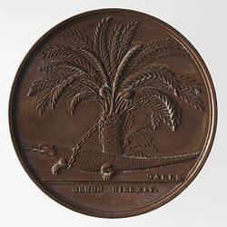 Medal - Conquest of Upper Egypt, Napoleon Bonaparte (Emperor Napoleon I), France, 1798