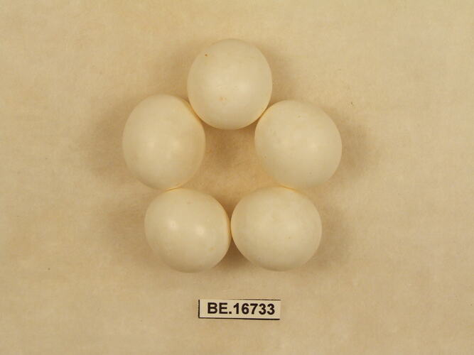 Five bird eggs with specimen label.