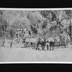 Photograph - Horse Drawn Coach