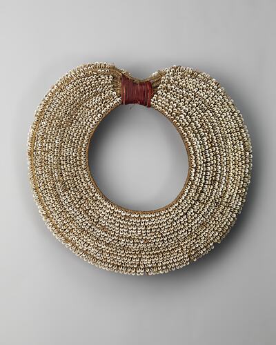 Ornament, neck, Papua New Guinea