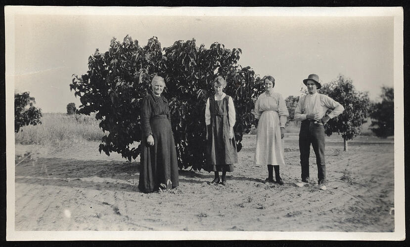 Monochrome photograph of a group in an orchard.