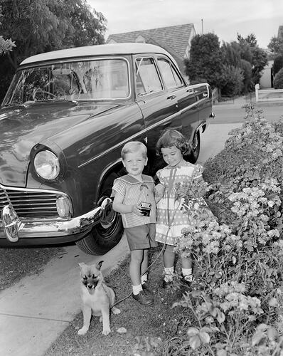 Two Children with a Dog, Ivanhoe, Victoria, Jan 1959