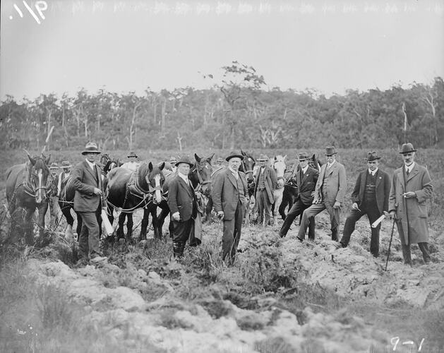 Group of men with horses behind in cleared outdoor setting. Bush in background.