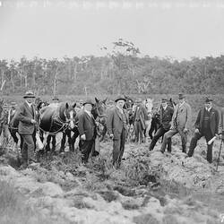State Electricity Commission of Victoria (SECV) Collection