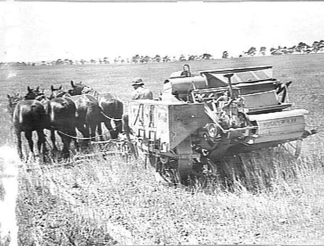 MR SUTHERLANDS. ENGINE FUNCTIONED HARVESTER MAROONA.