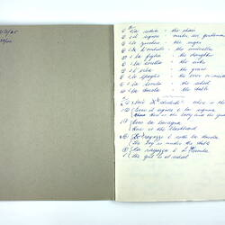 Inside pages of exercise book with hand-writing.