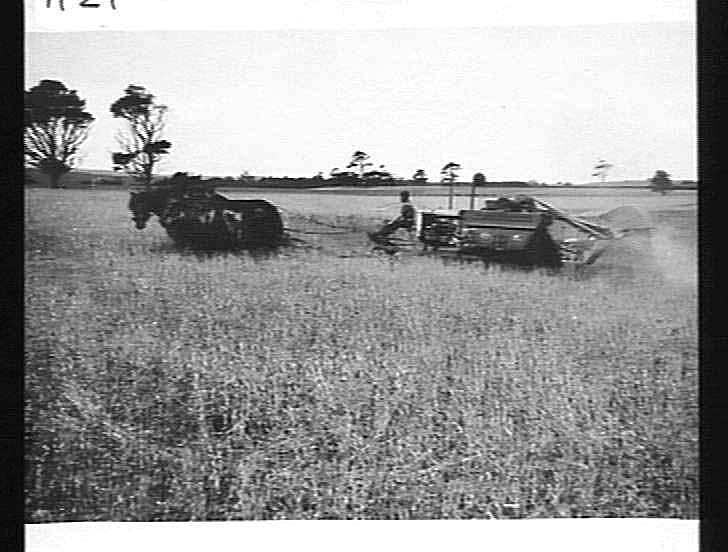 Photograph H.V. McKay Pty Ltd, Farm Equipment Manufacture & Field