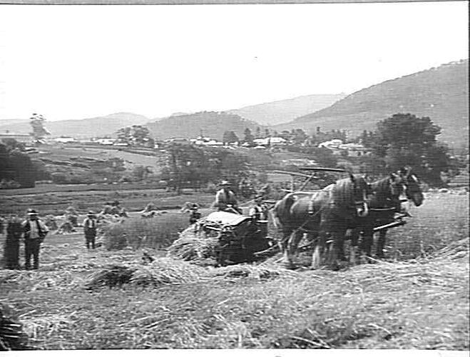 NEW NORFOLK: 1922